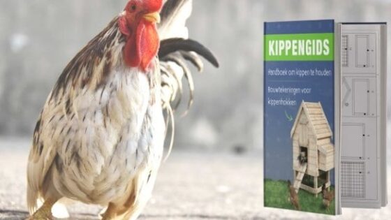 Kippengids Review
