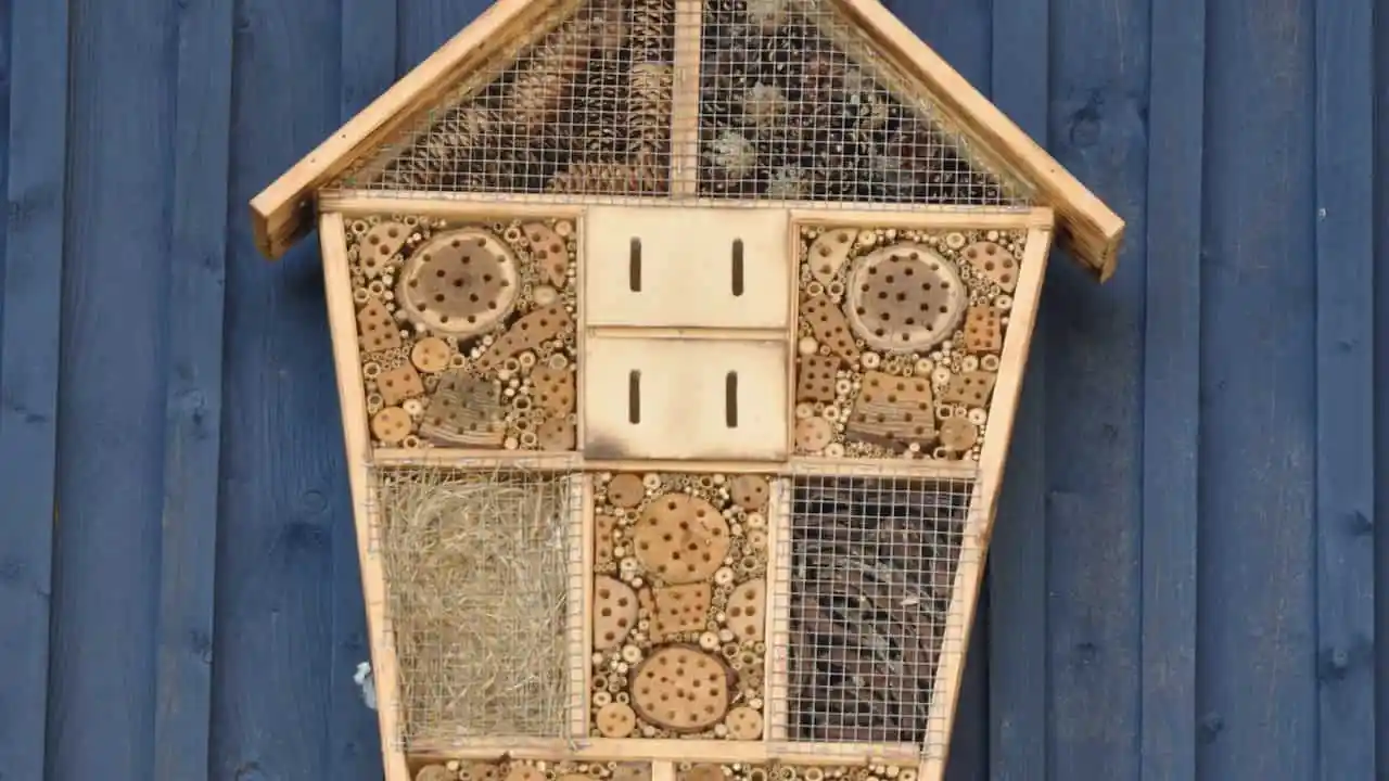 eigen insectenhuis bouwen bouwtekening 1