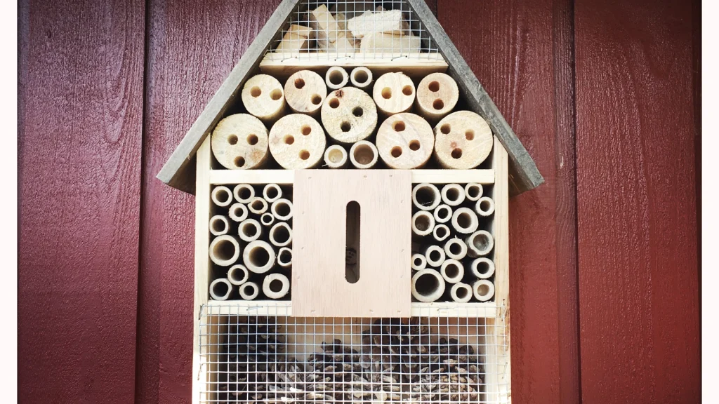 Insectenhuis bouwen van hout